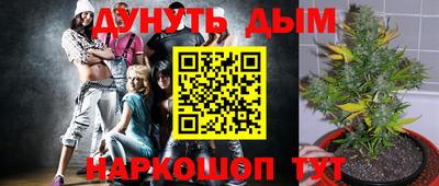 мдпв Рузаевка